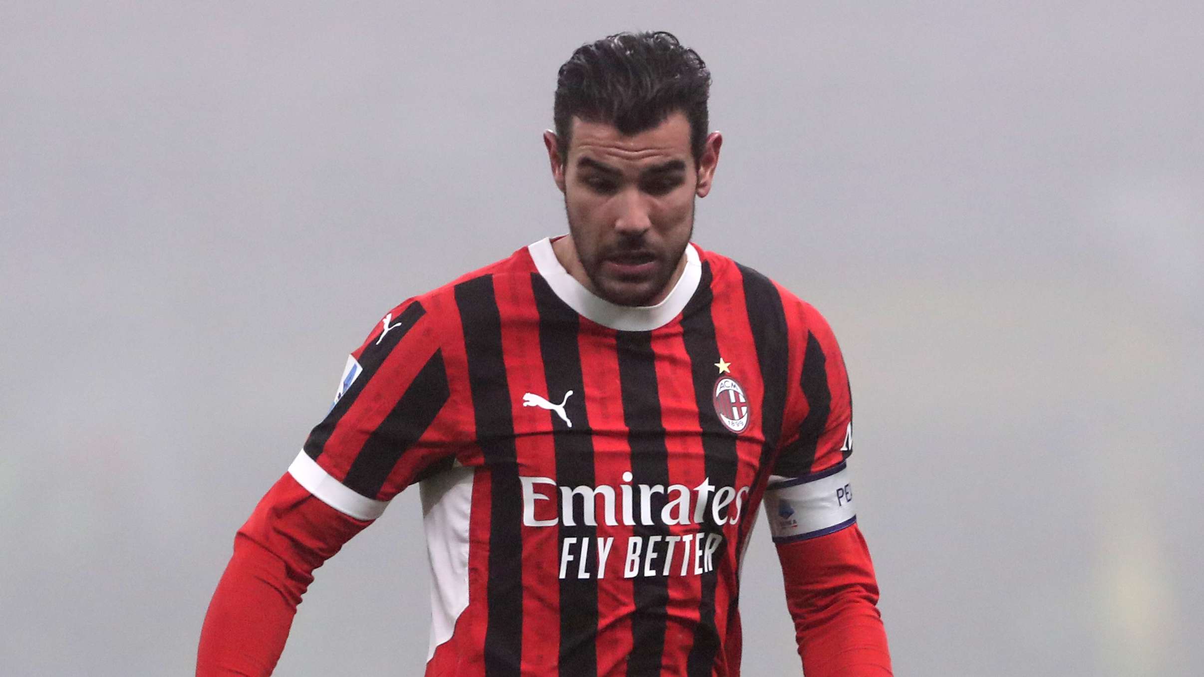 人类不仅是 人类不仅是